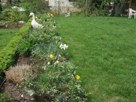 Wellner Garten- und Landschaftsbau